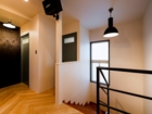 lsddesign