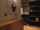 lsddesign
