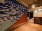 lsddesign