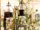 LSD design co., ltd.PRETTY WOMEN,2014,apparel,Okinawa, Japan,interior designInterior coordinates, Girly taste, Chandelier, Fabric, pink (1)
