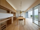 lsddesign