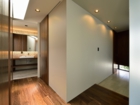 lsddesign