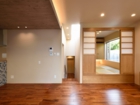 lsddesign