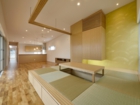 lsddesign