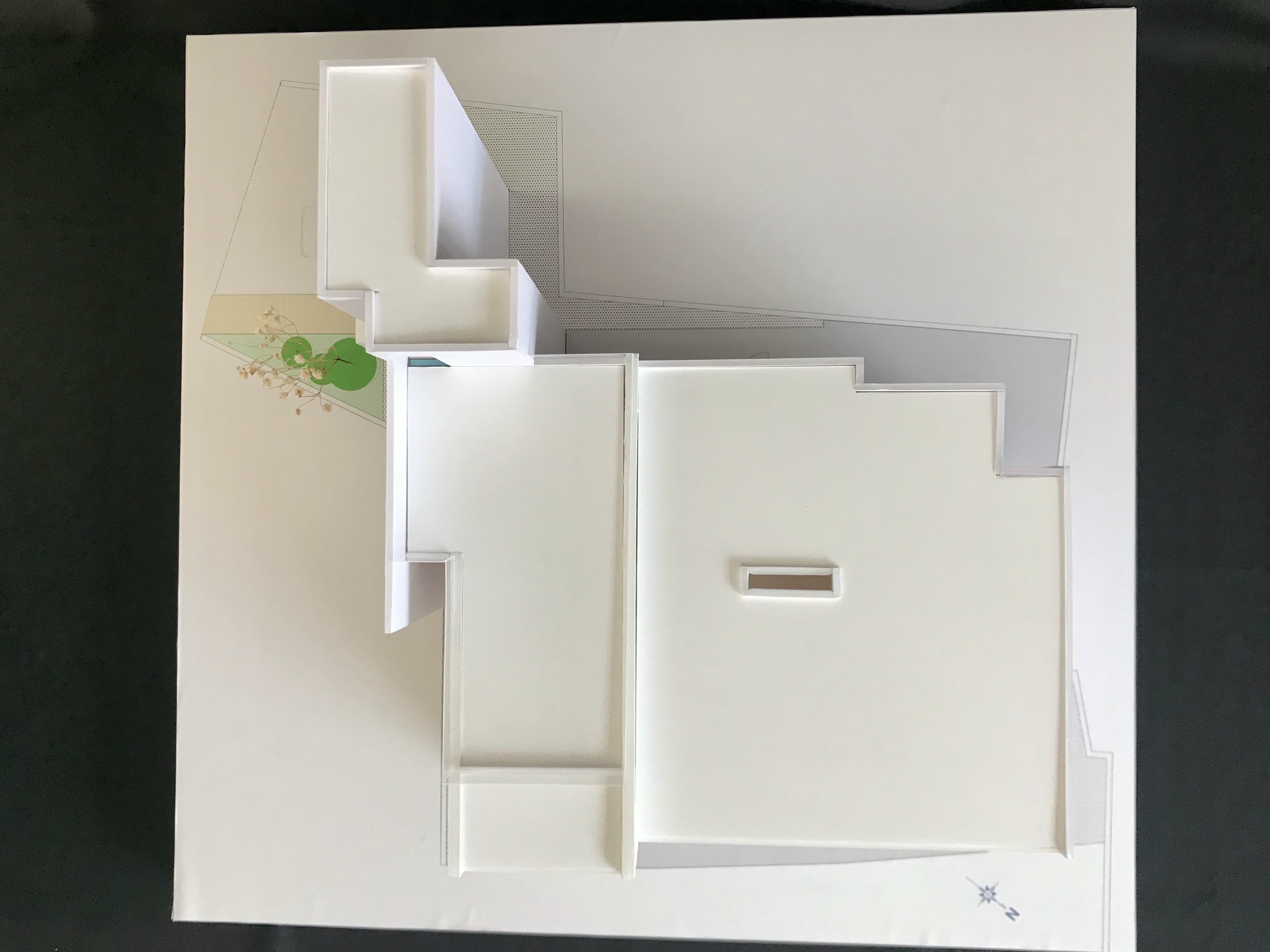 lsddesign
