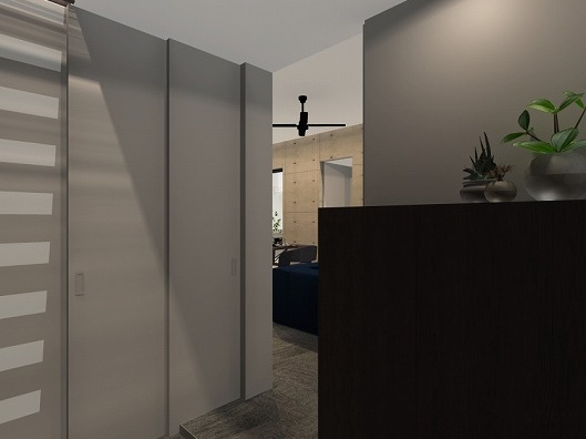lsddesign