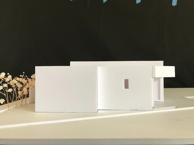 lsddesign