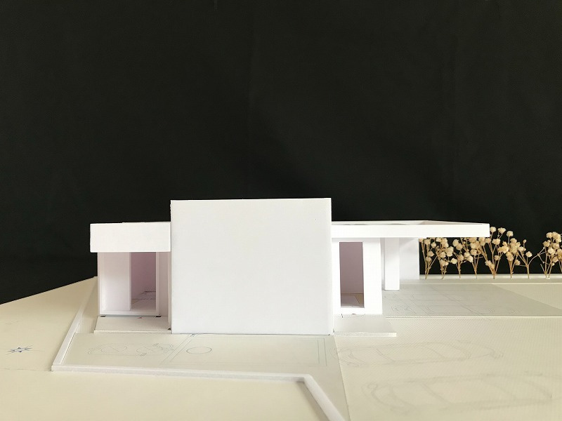 lsddesign