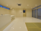 lsddesign
