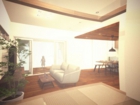 lsddesign