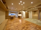 lsddesign