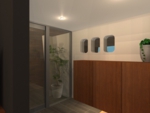 lsddesign